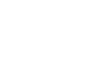Oluseyi Adolphus client logo